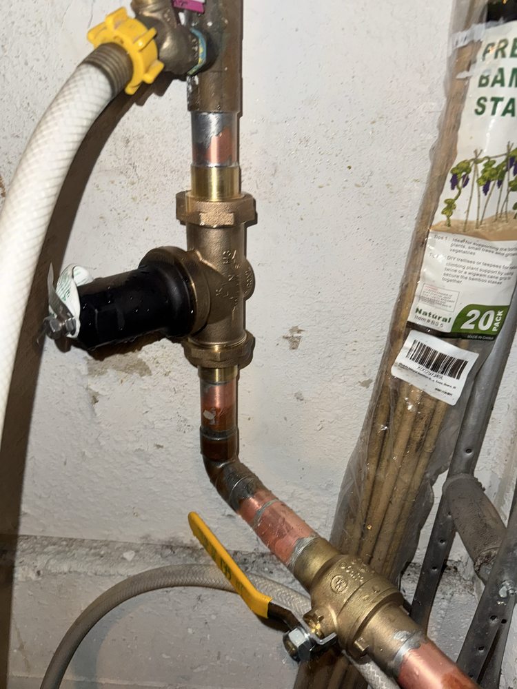 Backflow Preventer & Valve Assembly